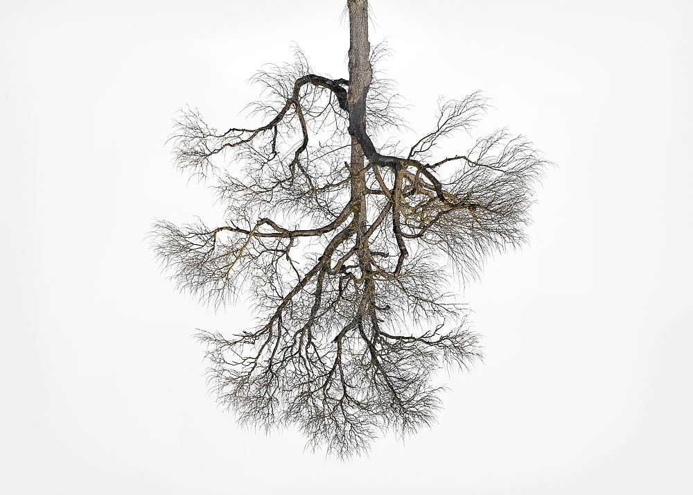On-The-Nature-Of-Things-01.jpg