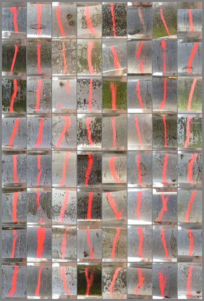 Morituri Te Salutant