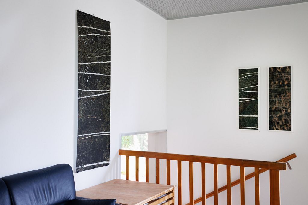 Urheberrechtlich geschuetztes Foto, Copyright by Christoph Frank