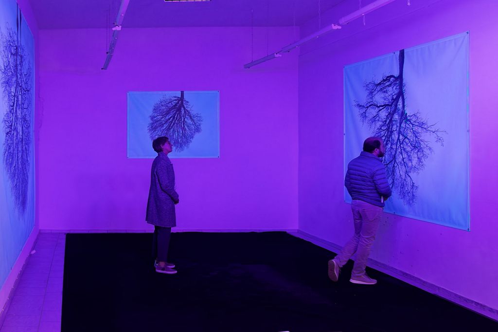 Urheberrechtlich geschuetztes Foto, Copyright by Christoph Frank