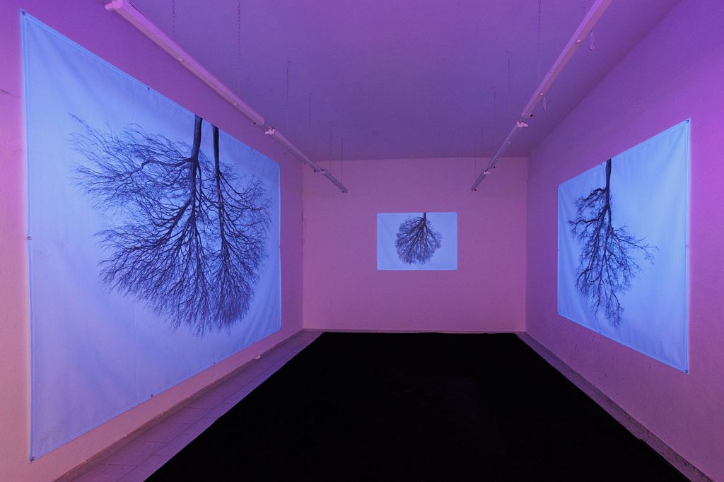 Urheberrechtlich geschuetztes Foto, Copyright by Christoph Frank