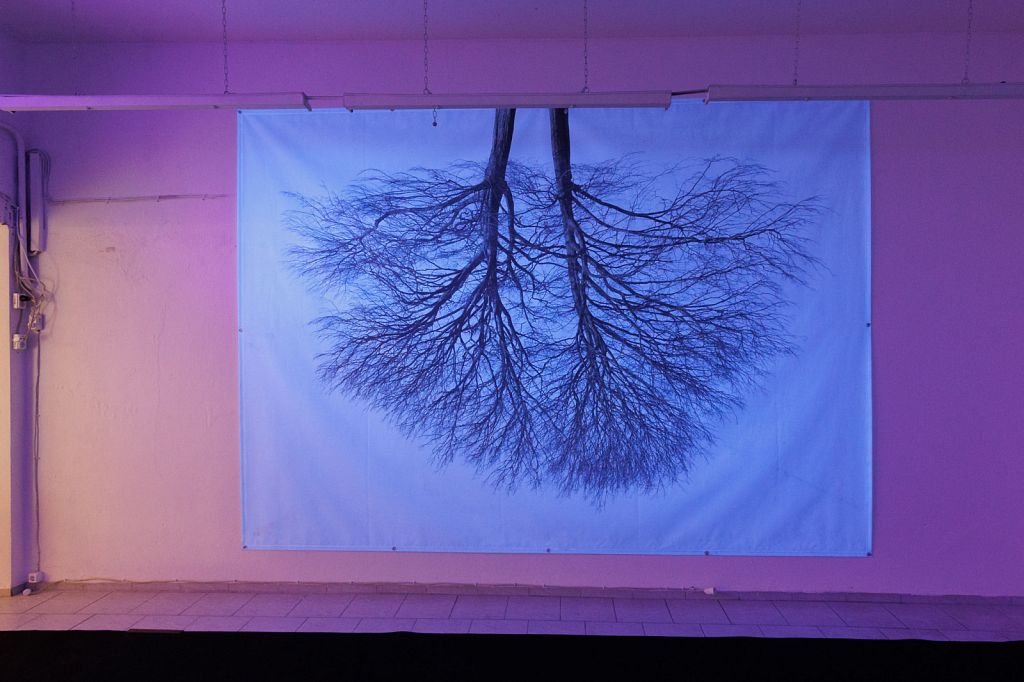 Urheberrechtlich geschuetztes Foto, Copyright by Christoph Frank