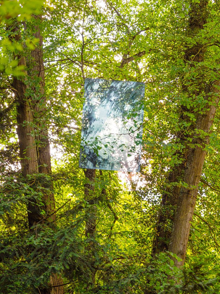 Urheberrechtlich geschuetztes Foto, Copyright by Christoph Frank