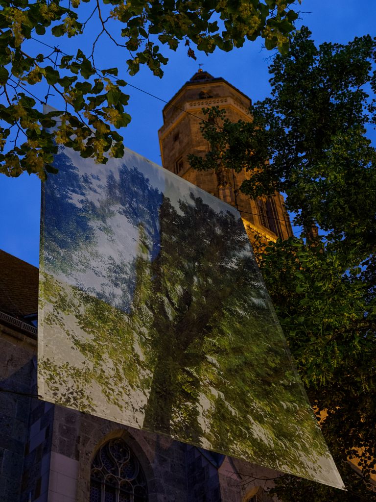 17-cff-240605-153-m.jpg